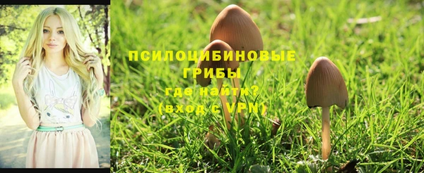 первитин Баксан