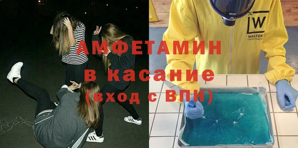 прущие грибы Пересвет